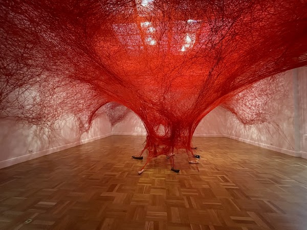 Art Gallery of South Australia 5