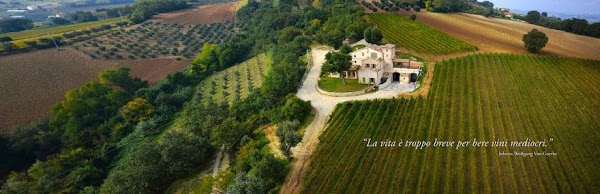 Le Marche  42