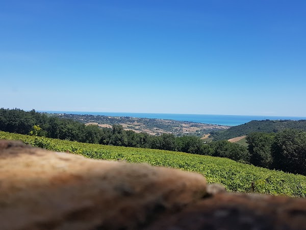 Cantina vinicola San Michele a Ripa 4