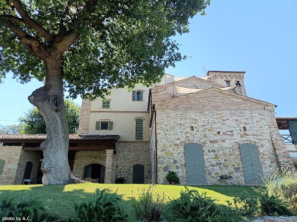 Cantina vinicola San Michele a Ripa 3