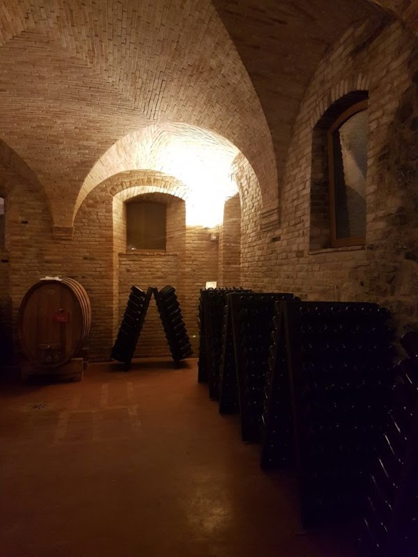 Cantina vinicola San Michele a Ripa 2