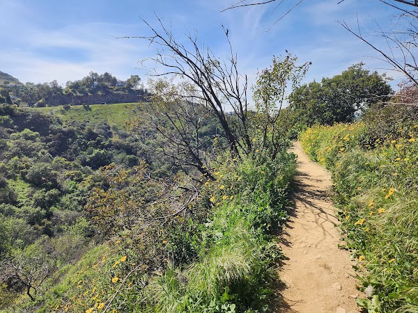 Fryman Canyon Park