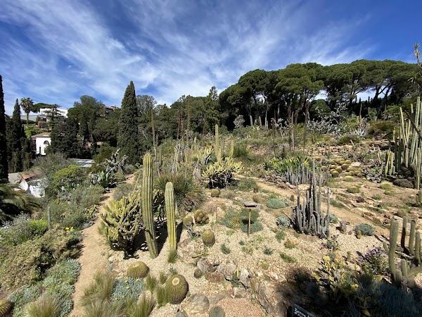 Jardí Botànic Marimurtra 2