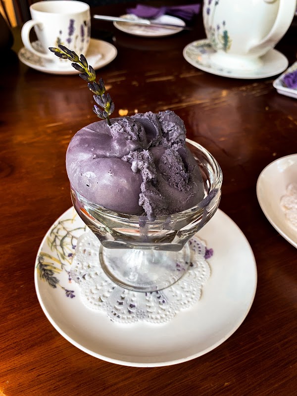 Cape Lavender 3