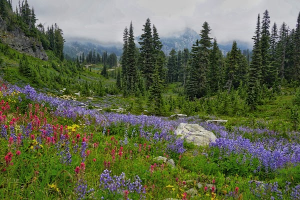 Naches Peak Loop Trailhead 4