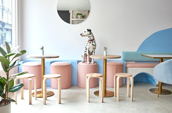 Pawsitive Cafe 1
