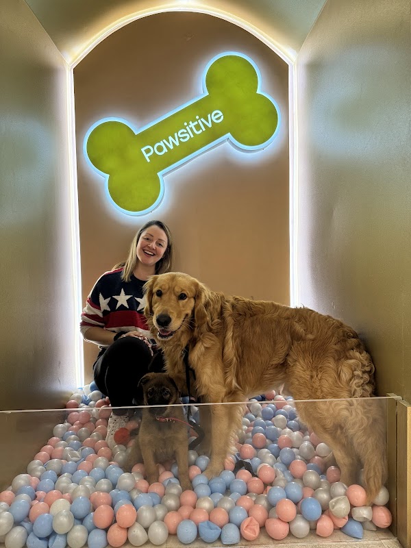 Pawsitive Cafe 4