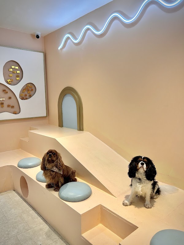Pawsitive Cafe 2