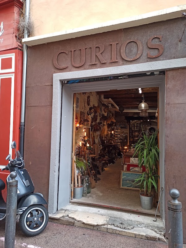 Curios, Cabinet De Curiosités Et Brocante