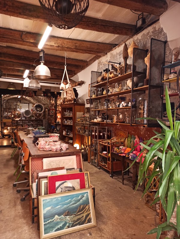 Curios, Cabinet De Curiosités Et Brocante 4