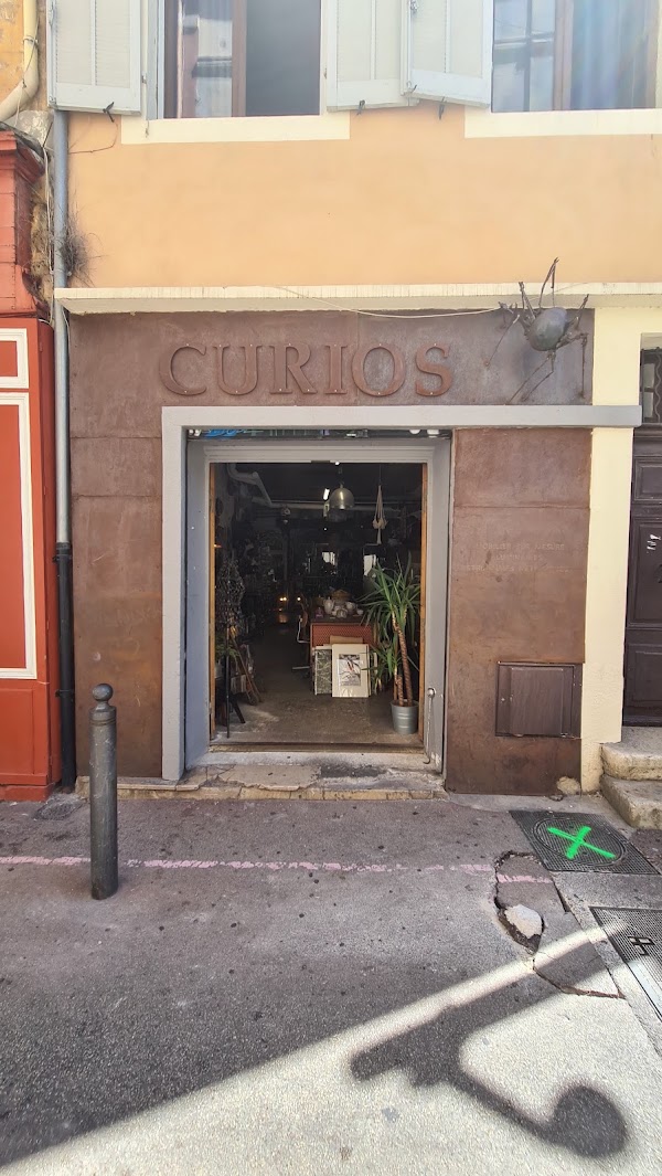 Curios, Cabinet De Curiosités Et Brocante 3