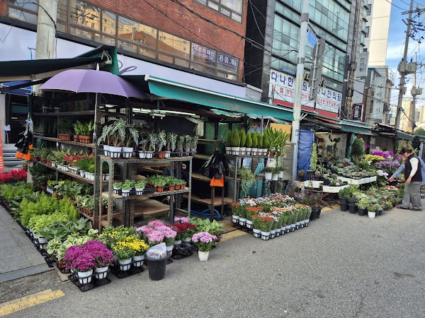 Jongno Flower Market 1