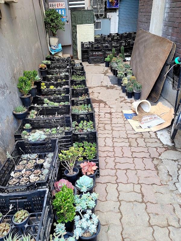 Jongno Flower Market 4