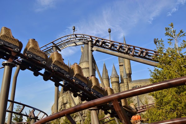 Flight of the Hippogriff