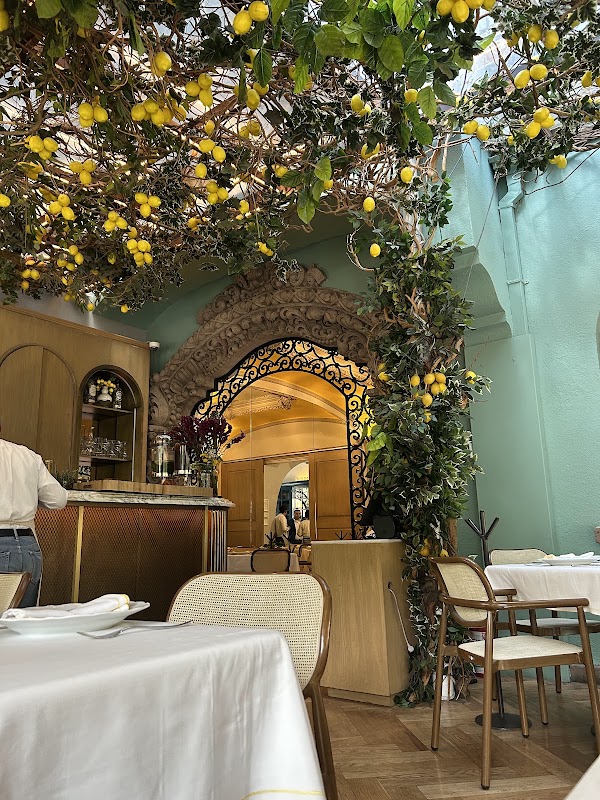 Mandolina Polanco 3