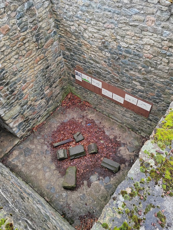Ruine Harzburg 4