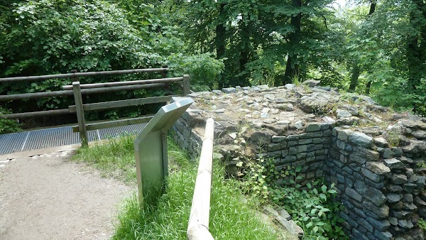 Ruine Harzburg 3