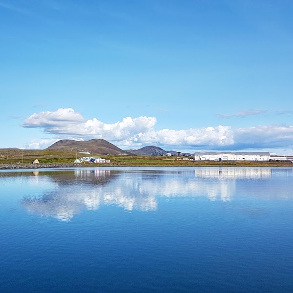 Grindavik