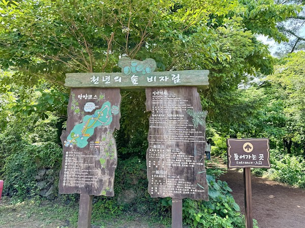 Bijarim Forest 3