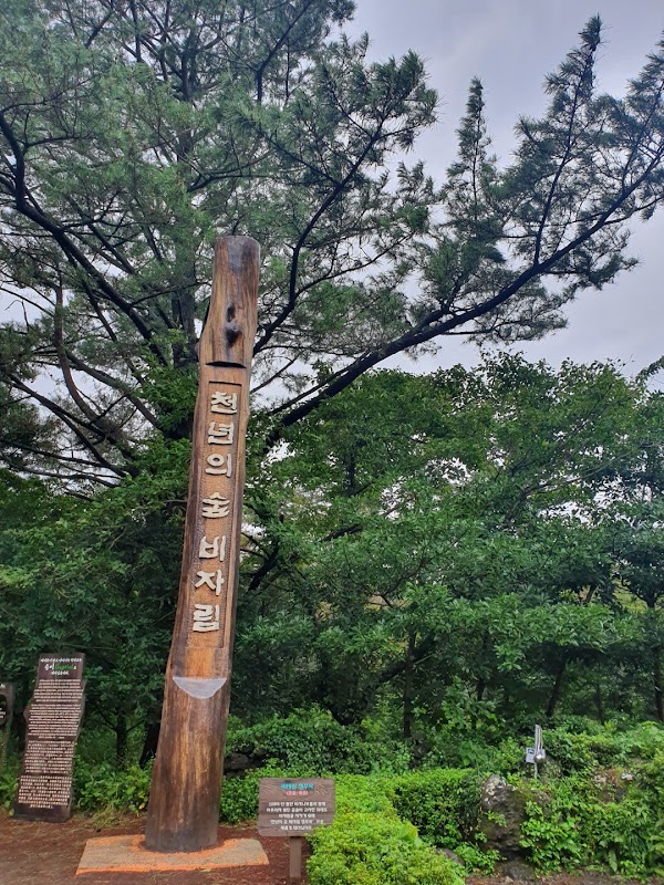 Bijarim Forest 2