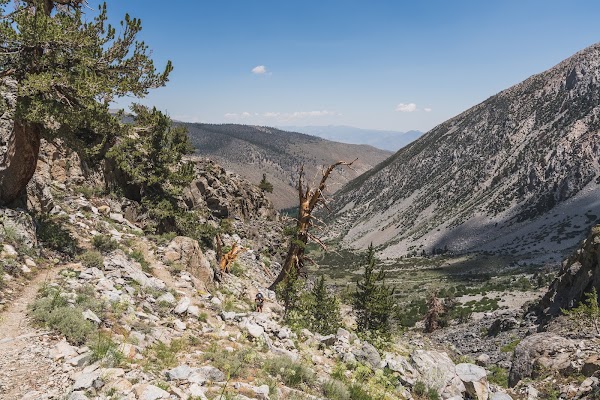 South Fork Big Pine Trailhead 5
