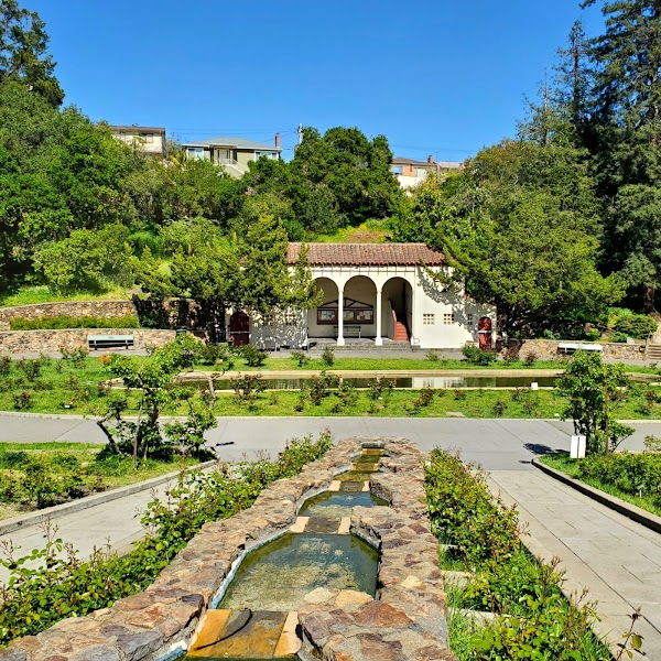 Morcom Rose Garden 2