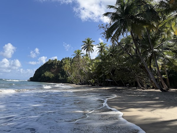 Batibou Beach 5