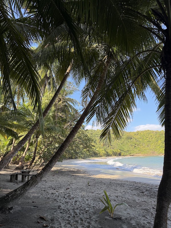 Batibou Beach 4