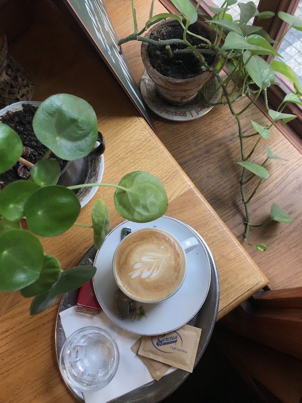 CAFÉ CLUB MÍŠEŇSKÁ 5