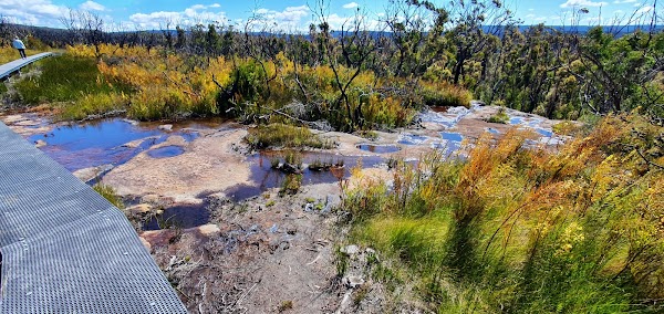 Mount Bushwalker Walking Track