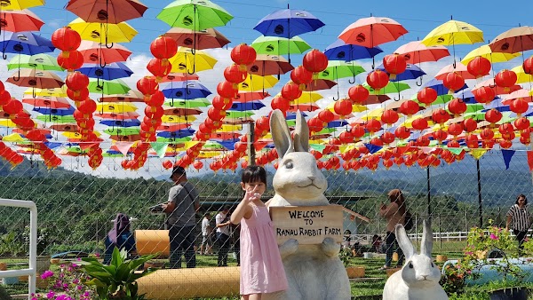 Ranau Rabbit Farm 5