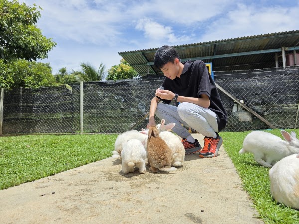 Ranau Rabbit Farm 2