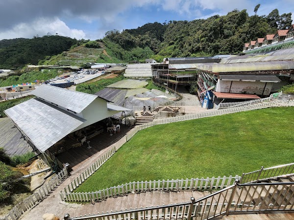 The Sheep Sanctuary 5