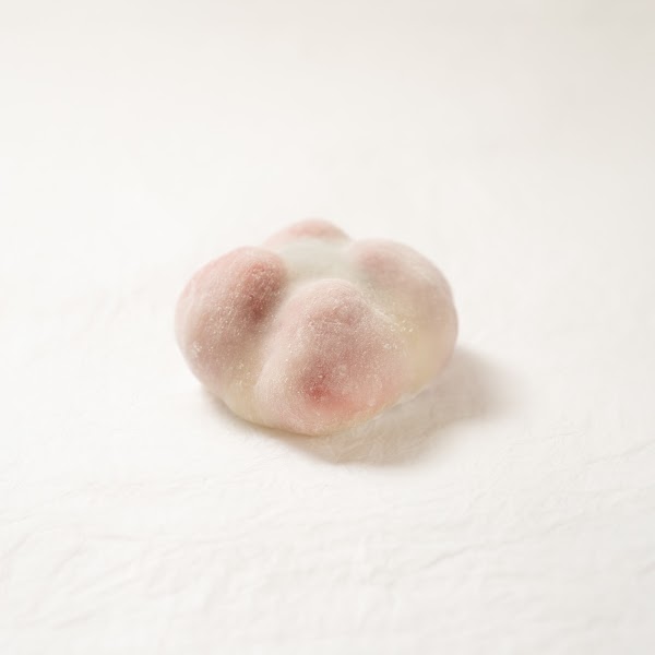 동문시장 과일모찌 운화당 (cloud flower mochi house) 1