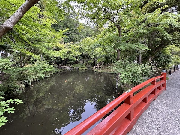 Yanagihara Divine Pond 1