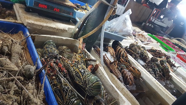 Kedonganan Fish Market 4