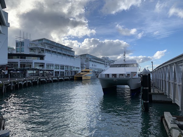 Downtown Terminal 4