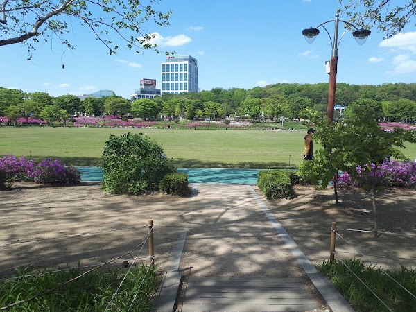 Boramae Park 3