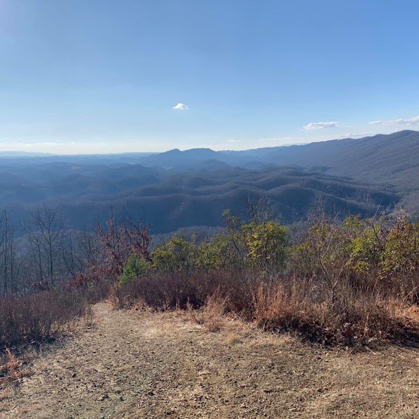 Mollys Knob