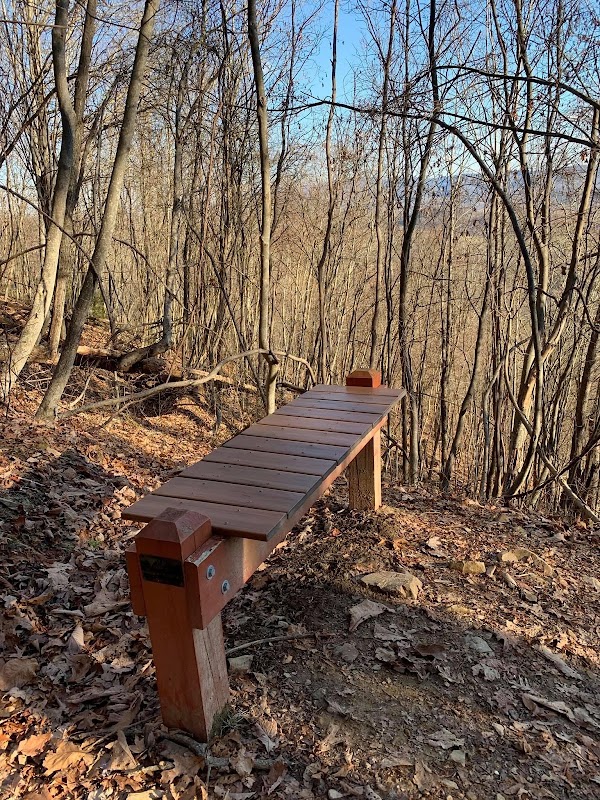 Mollys Knob 5