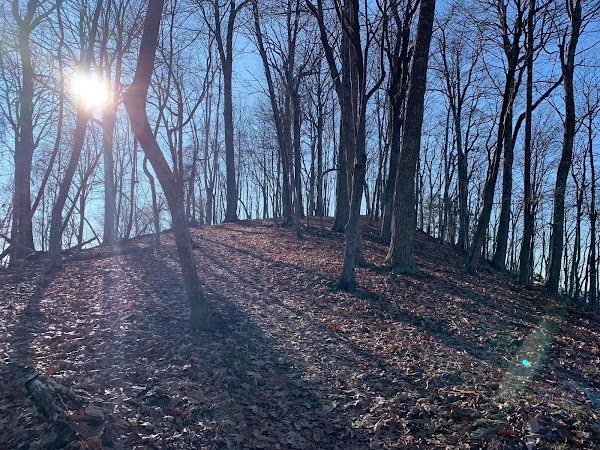Mollys Knob 3