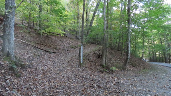 Mollys Knob 2