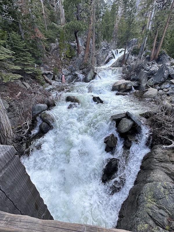 Lower Eagle Falls 2