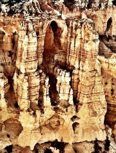 Navajo Loop Trail 2