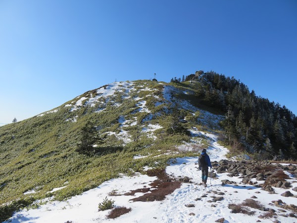 Mt. Neko