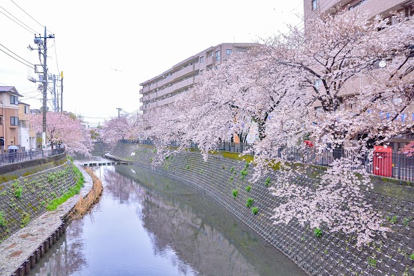 Ōoka River Promenade 1