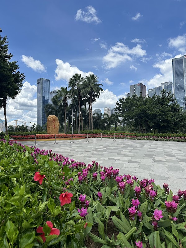 Qianhai Bay 5