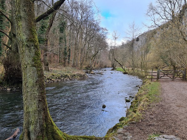 Stepping Stones, River Dove 3