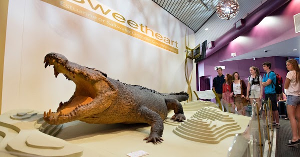 Museum and Art Gallery of the Northern Territory 5