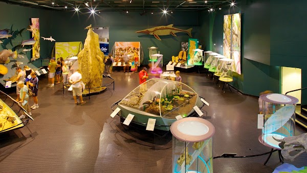 Museum and Art Gallery of the Northern Territory 4